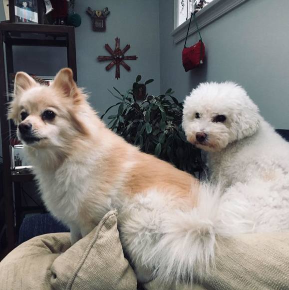 Meet your Posher, Paula - Picture 2 of 2